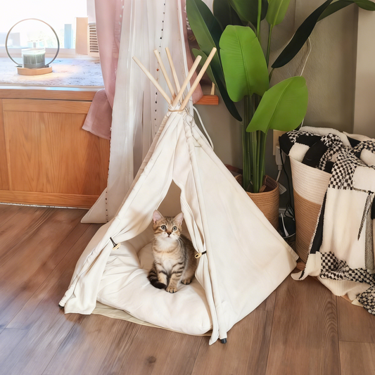 Indoor Indian Pet Tent + Pet Mat