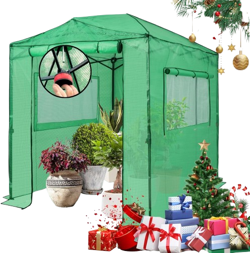 Indoor and Outdoor Plant and Gardening Greenhouses