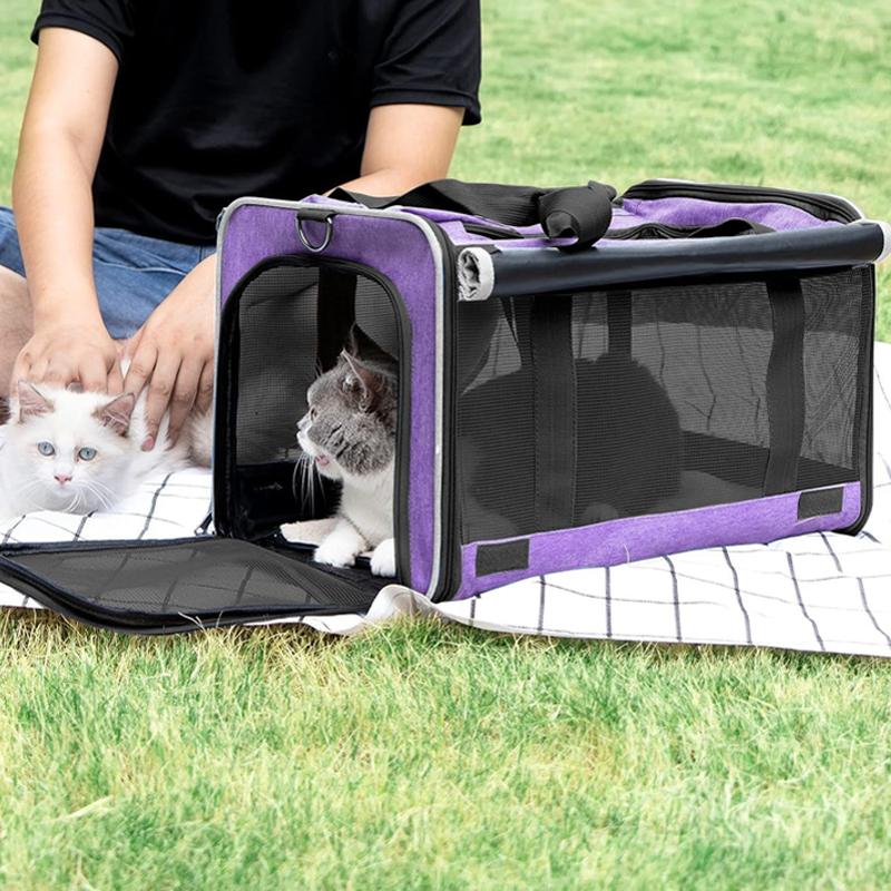 Portable pet travel carrier that can be carried on your back or by hand