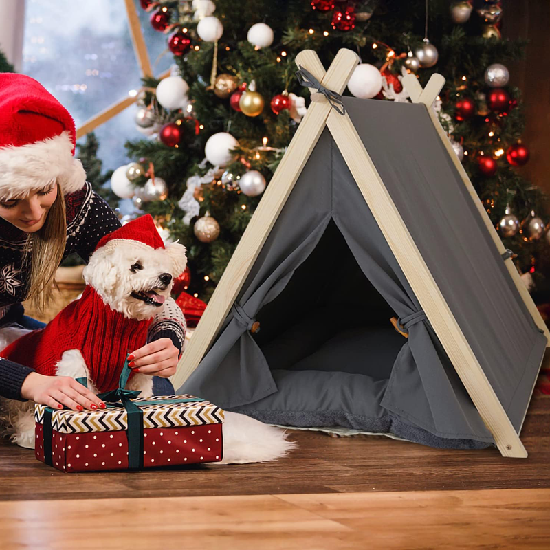 Indoor Pet Tent Room + Pet Mat