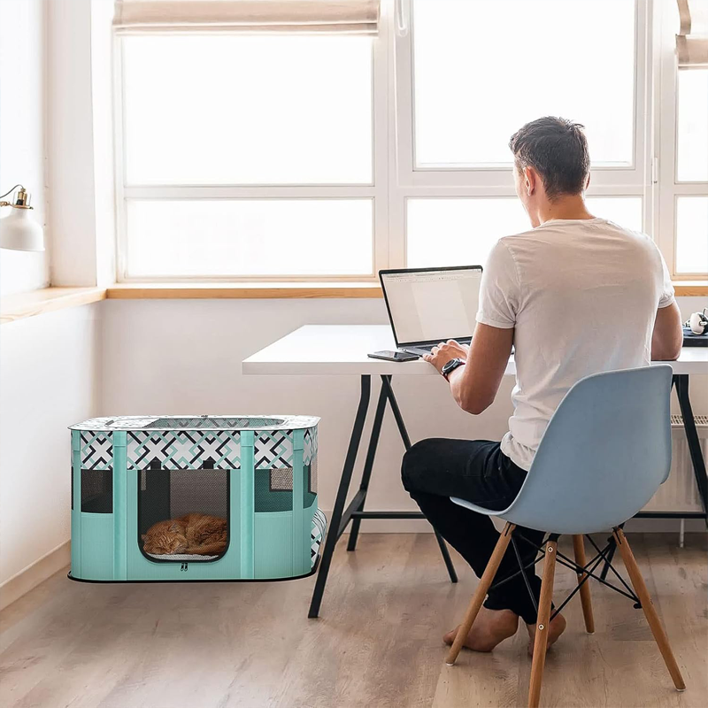 Portable Foldable Small Pet Carrier