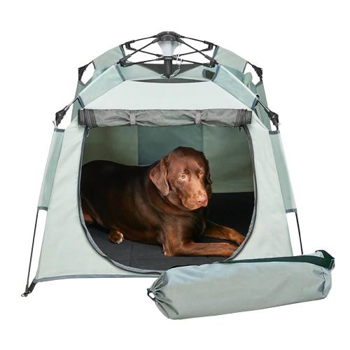 Quick-Setup Outdoor Pet Tent
